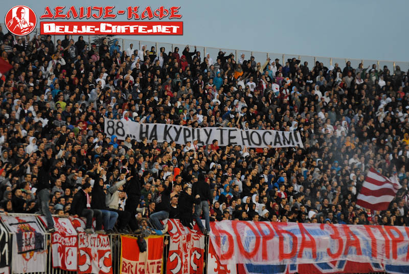 gal/2010-2011/partizan_CZ_kup/delije08.jpg
